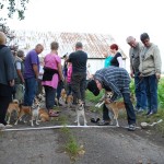 Så er hunde og ejere parate til det traditionelle lundehunderæs