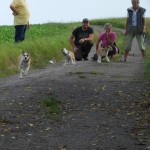 Så går det i fuld fart for nogle hunde og andre véd ikke lige hvad det er de har gang i!