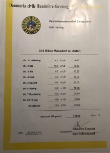 DM-2018Resultat-Anton