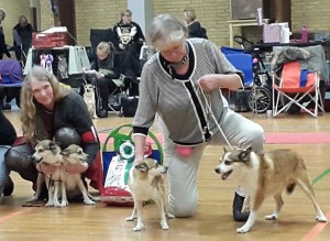 Tokke, Xenia, Oona & Rupis