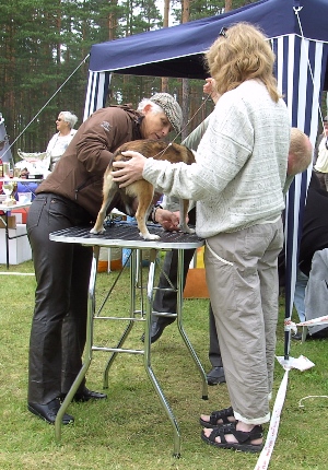 Ulfrigga Lundes Eske