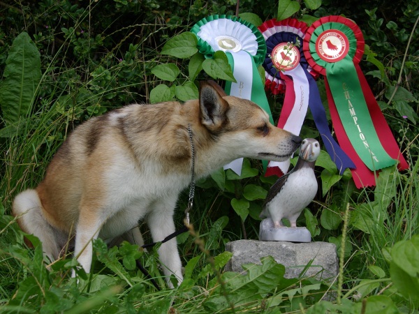 Paluna's Gaia Saradatter