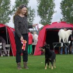 Ballerup2013-La