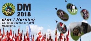 DM 2018 banner