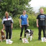 EliinaAgility2015-06-28