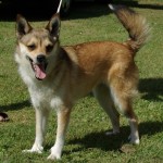 Keeza's Lunde Oona