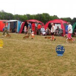 Fuglebjerg2014l-Opdr3