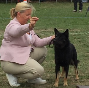 Fuglebjerg2018s-Sanas