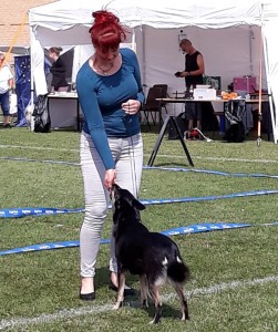 Fuglebjerg2019l-Sági