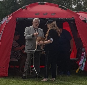Fuglebjerg2019l-X