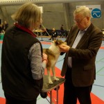 Haarlev2014-Rupis