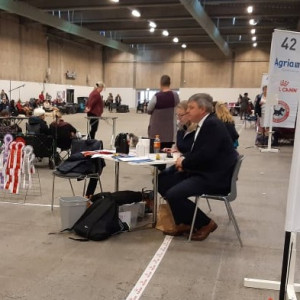 Herning 2021 søndag dommerbord