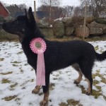 Koge2018-Sanas