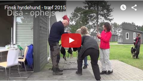 LVH-TRF-2015