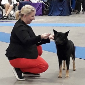 Malmoe2019-Sanas
