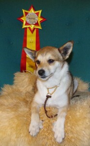 MyDog2020-Xenia