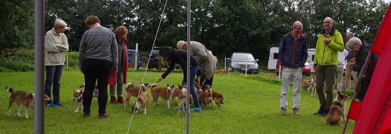 Lundehundetræf 2016