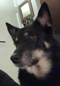NW20211024-Sagi