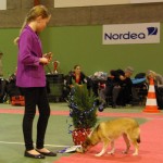 Nyborg2013-BarnHund