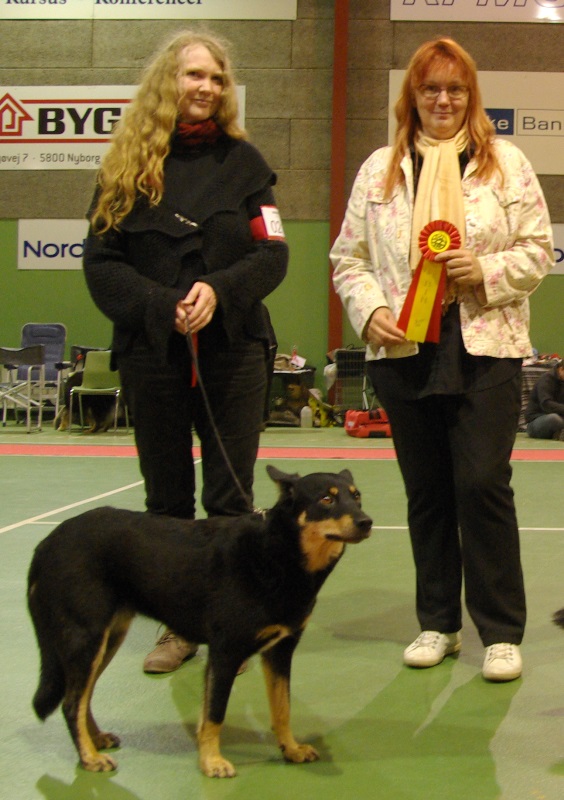 Nyborg2013-Li