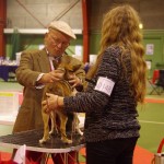 Nyborg2015-T