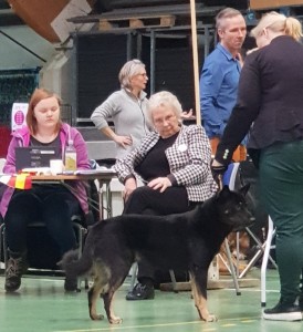 Oslo2019-01s-Sanas