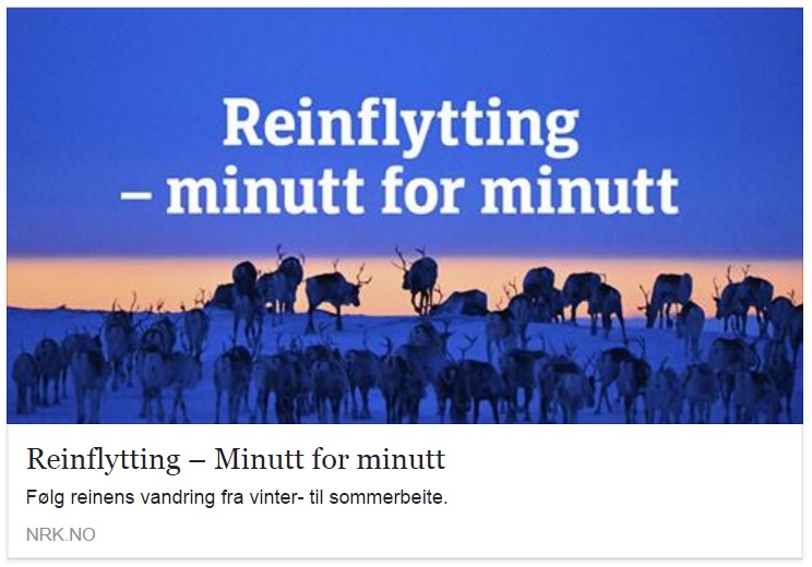Renflytning