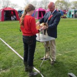Dommer Matti Tuominen ser på Oona