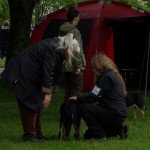 Roskilde2014l-Li