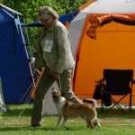 Roskilde2014l-Rupis