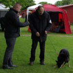 Roskilde2014s-Li