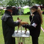 Roskilde2014s-T