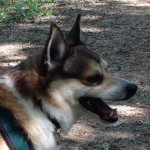 Keeza's Lunde Roar