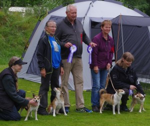 Sanngrund2017-Palunas