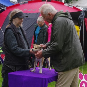 Sanngrund 2017 Saija