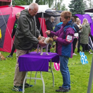 Sanngrund 2017 Unni