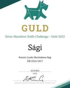 Sági-Sirius-Challenge-2023