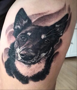 Sági-tato