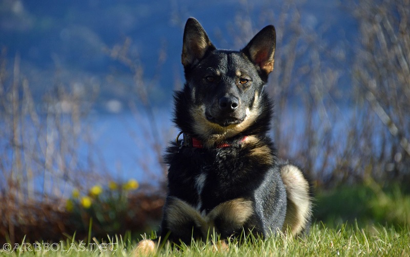 Taika10mdr-1