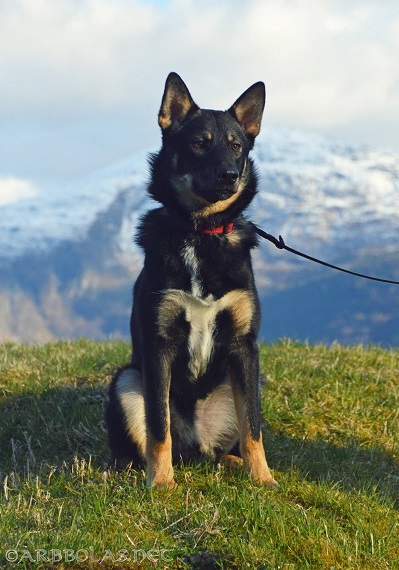 Taika10mdr-2