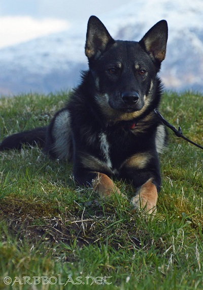 Taika10mdr-3