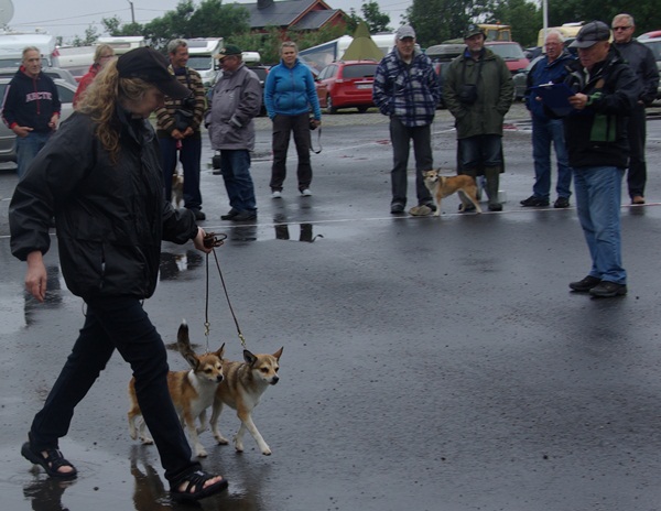 Mor-barn konkurrencen