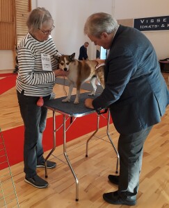 Vissenbjerg2019-Rupis
