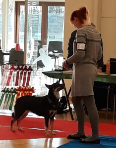 Vissenbjerg2019-Sági
