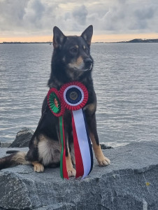 Ålesund2022-Taika