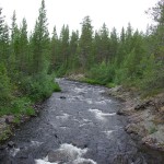 Naturen i Jämtland er betagende